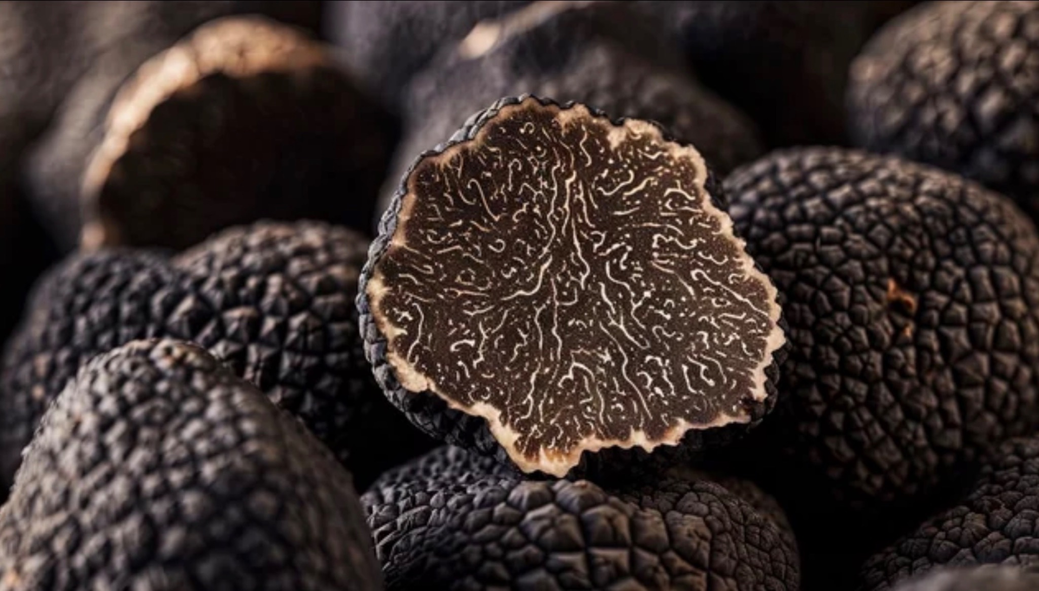 La saison des Truffes au Luberon 