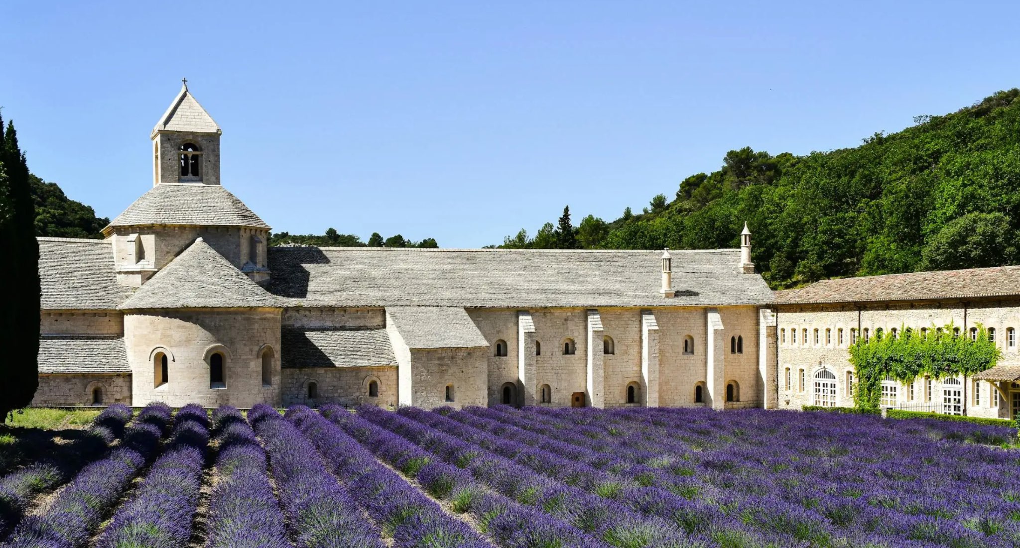 L’abbaye de Sénanque : son impact sur l’immobilier autour de Gordes