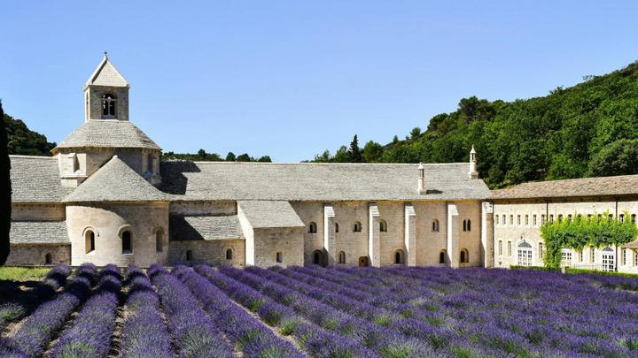 L’abbaye de Sénanque : son impact sur l’immobilier autour de Gordes
